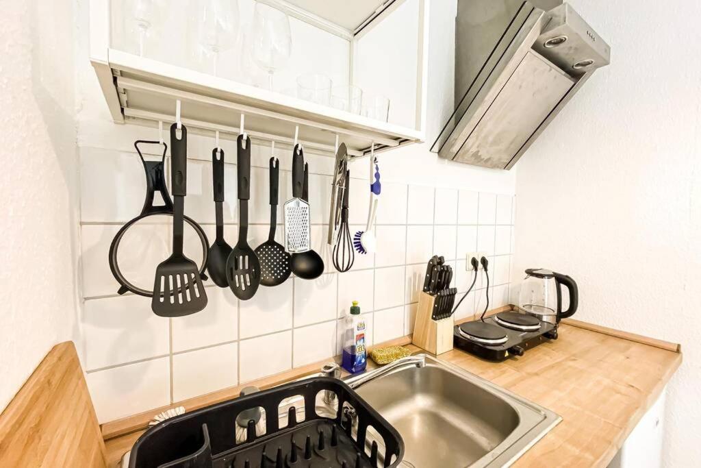 Apartment Am Auensee Mit Grosser Terrasse & Privat-Parkplatz Лайпциг Екстериор снимка